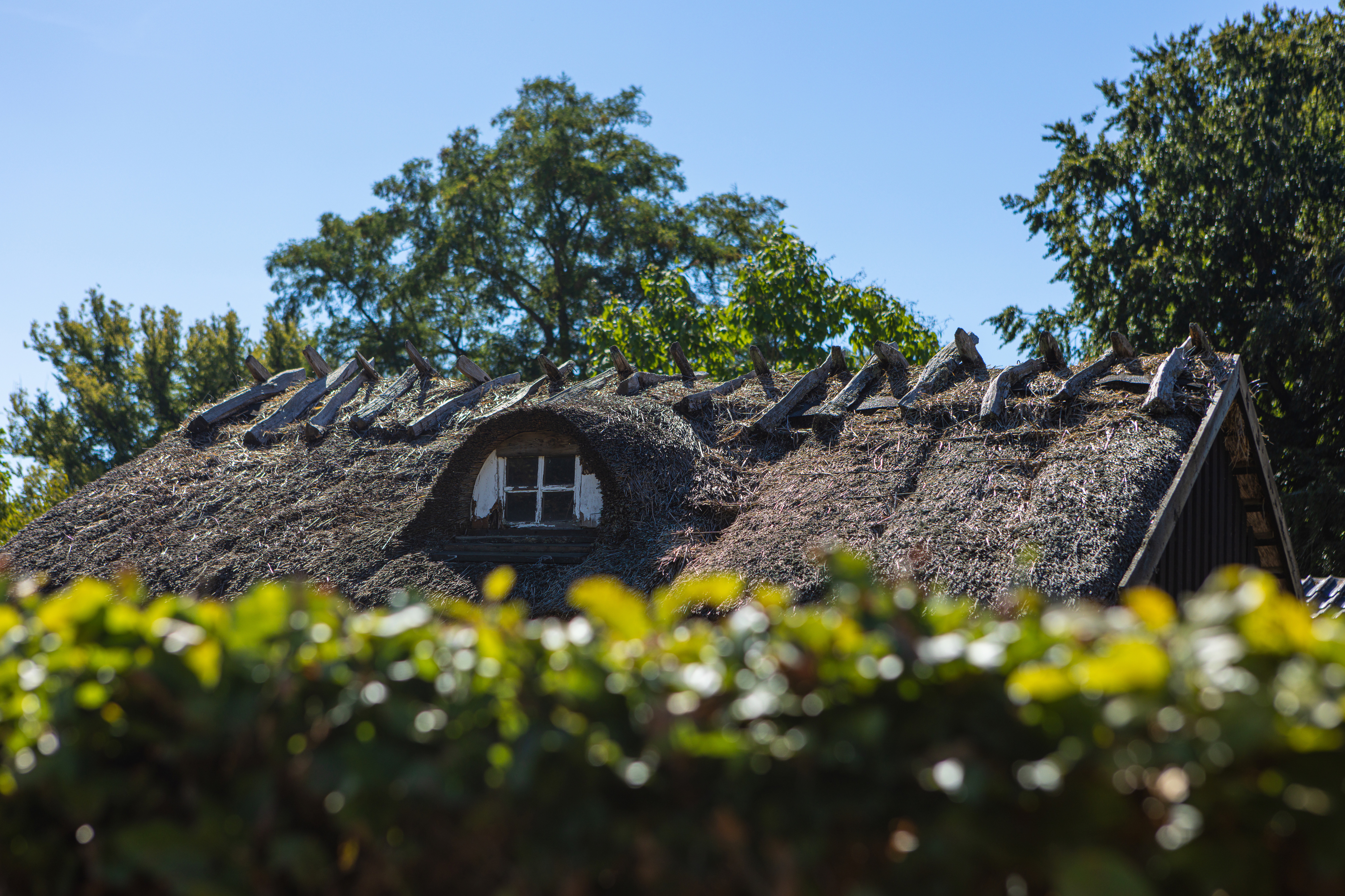 Traditional thatched roof cottage with dormer window