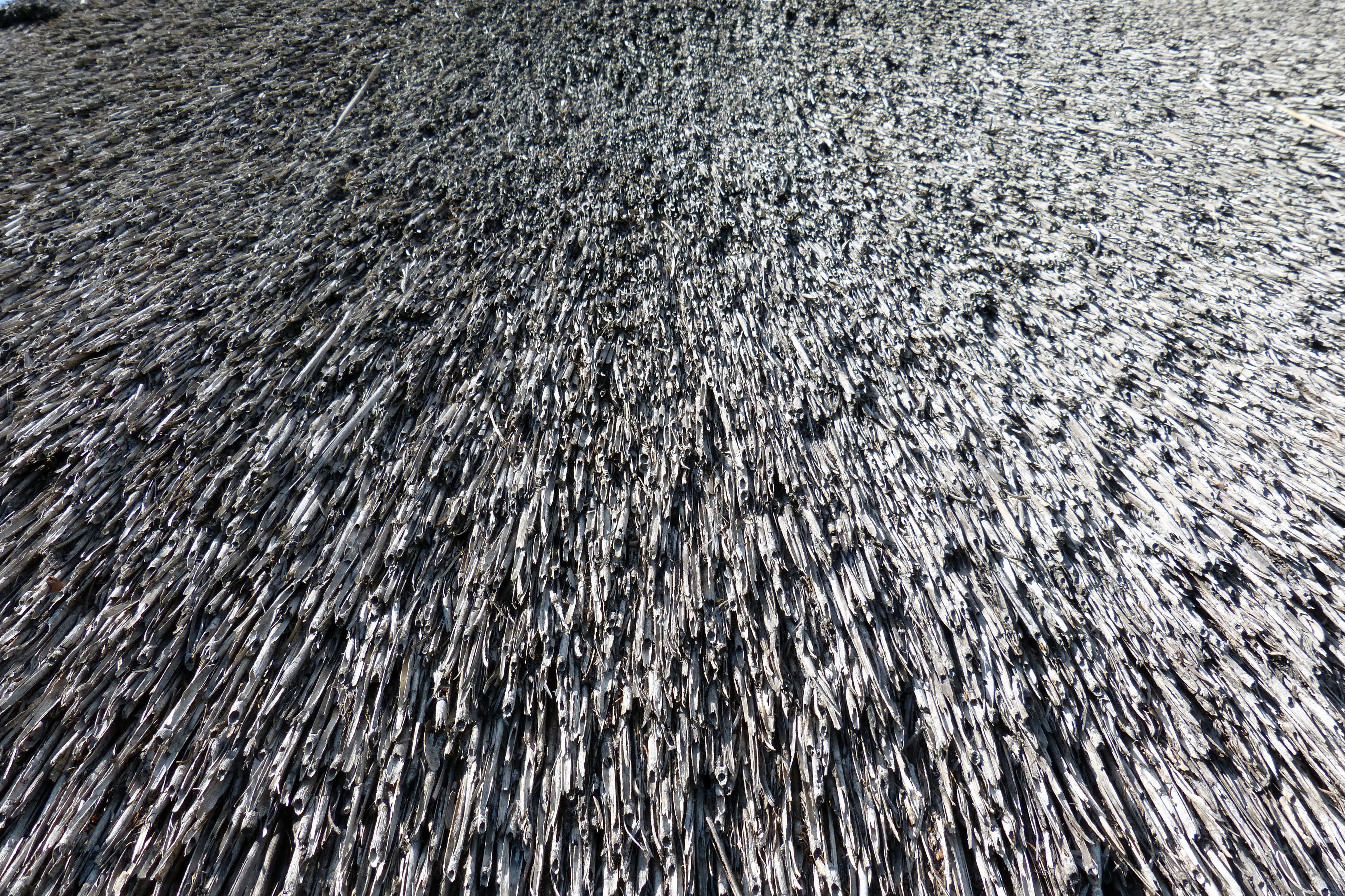 Close-up detail of thatched roof texture